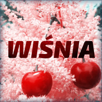 Wisnia