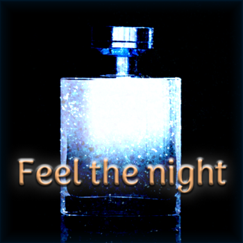 Feel the night