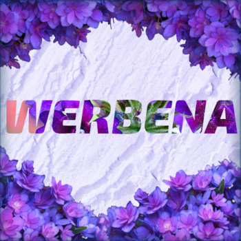 WERBENA